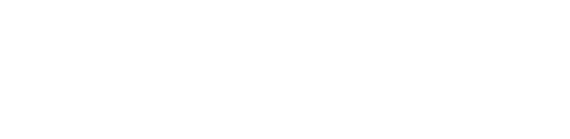 LANDIX PARTNERS